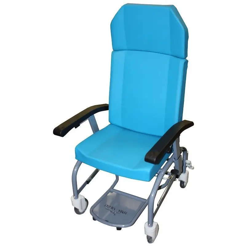 Fauteuil de Repos à Roues avec Dossier Inclinable et Appui-Tête Amovible