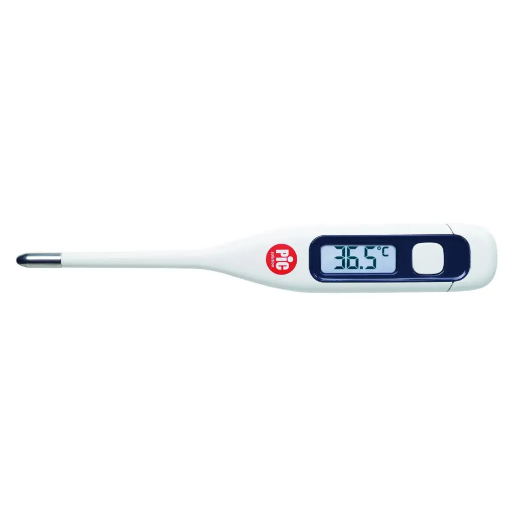 Thermomètre Digital Électronique