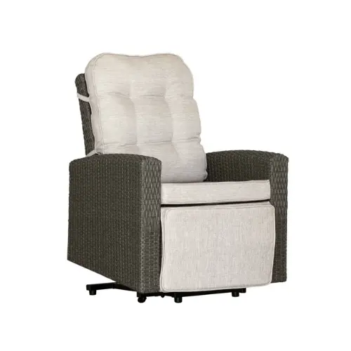 Fauteuil Releveur Extérieur 1 Moteur