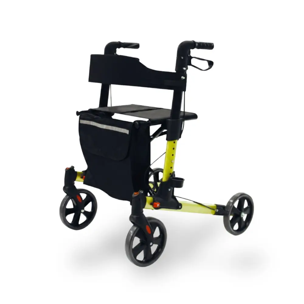 [7000007] Déambulateur 4 roues (Argent)