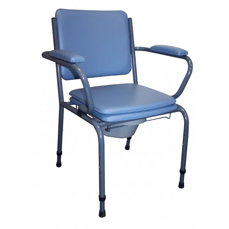 [7000170] Chaise Garde-Robe Réglable avec Accoudoirs Relevables et Grand Dossier (Autre coloris sur demande)