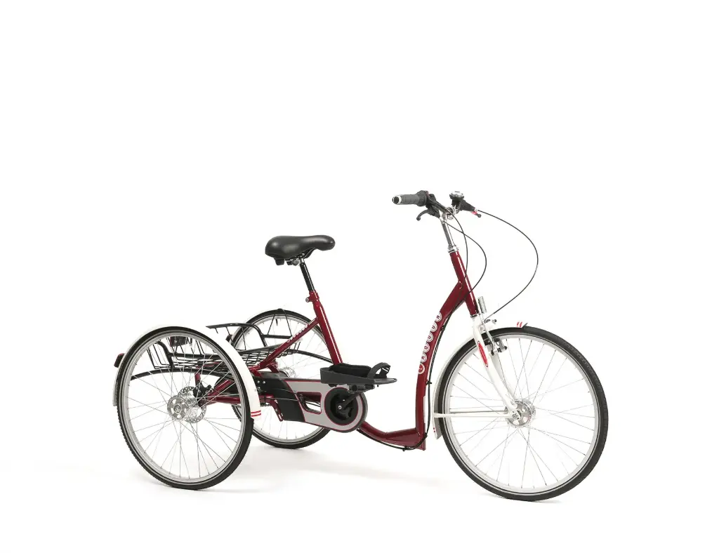 [7017005] Tricycle Adulte Lagoon (Gris et Gris foncé)