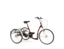 Tricycle Adulte Lagoon