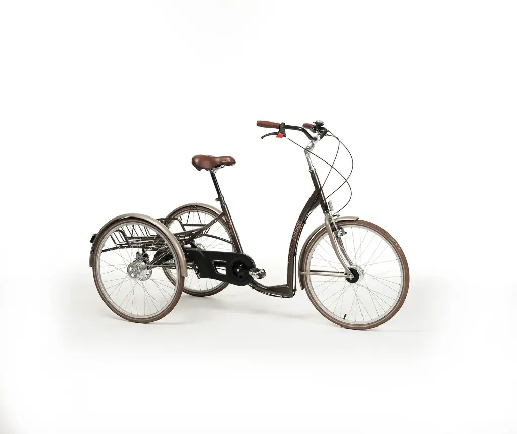[7017007] Tricycle Adulte Vintage