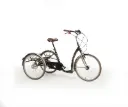 Tricycle Adulte Vintage