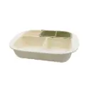 Assiette Compartimentée avec Ventouse Antidérapante